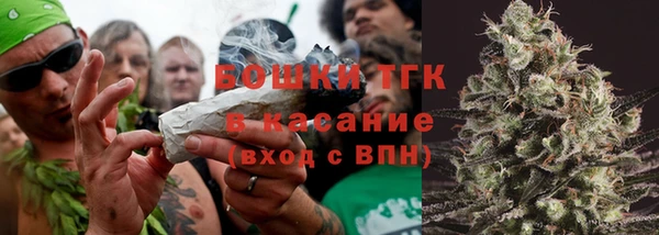 ГАЛЛЮЦИНОГЕННЫЕ ГРИБЫ Арсеньев
