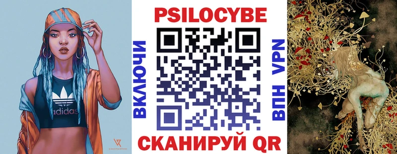 цены   Новая Ляля  Псилоцибиновые грибы Cubensis 